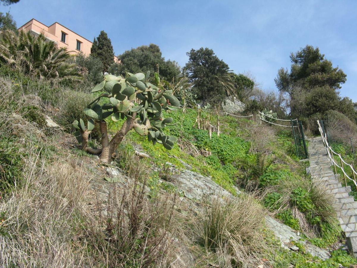 Casa Delle Mimose Apartment Varazze Exterior photo