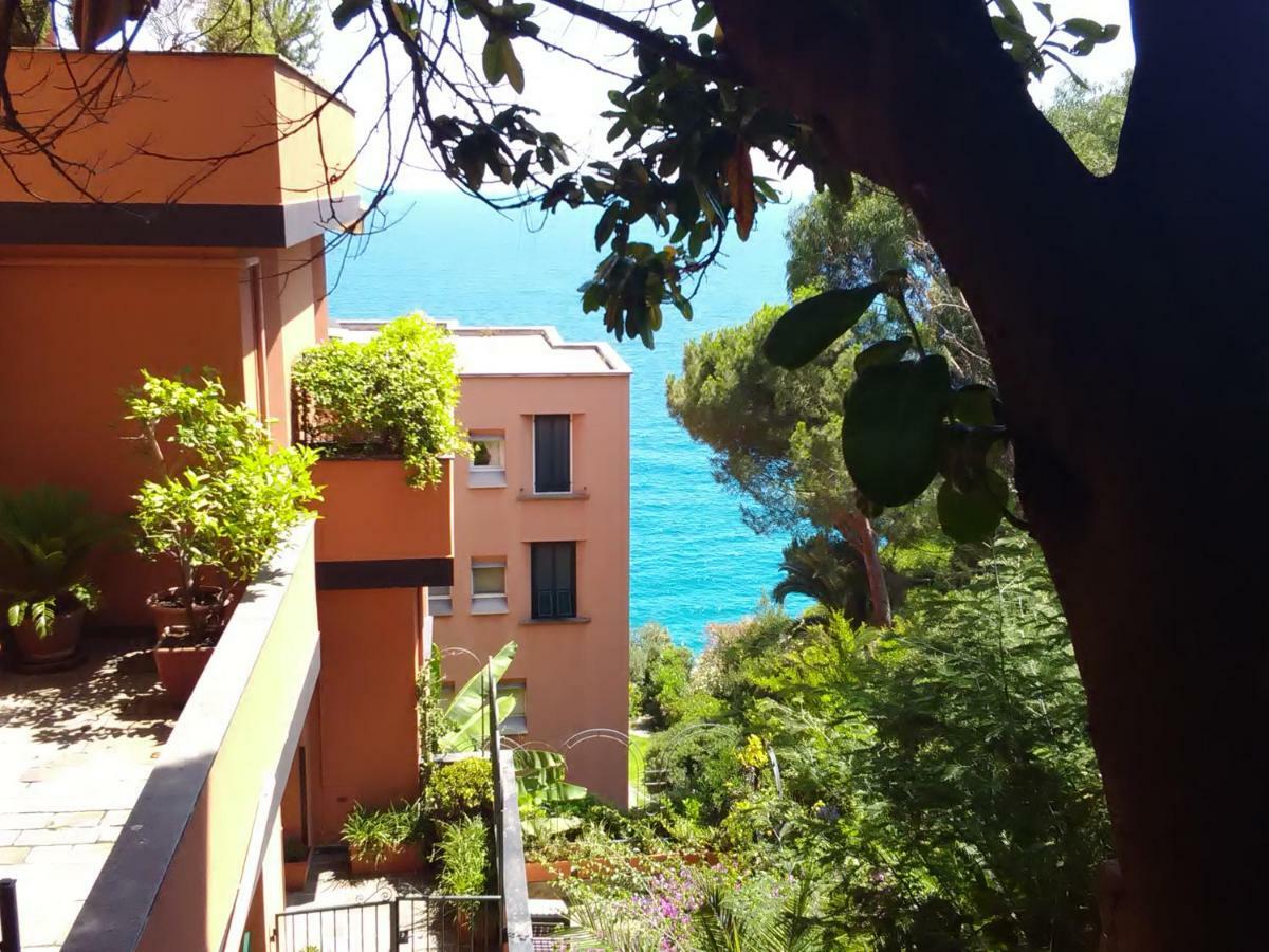 Casa Delle Mimose Apartment Varazze Exterior photo